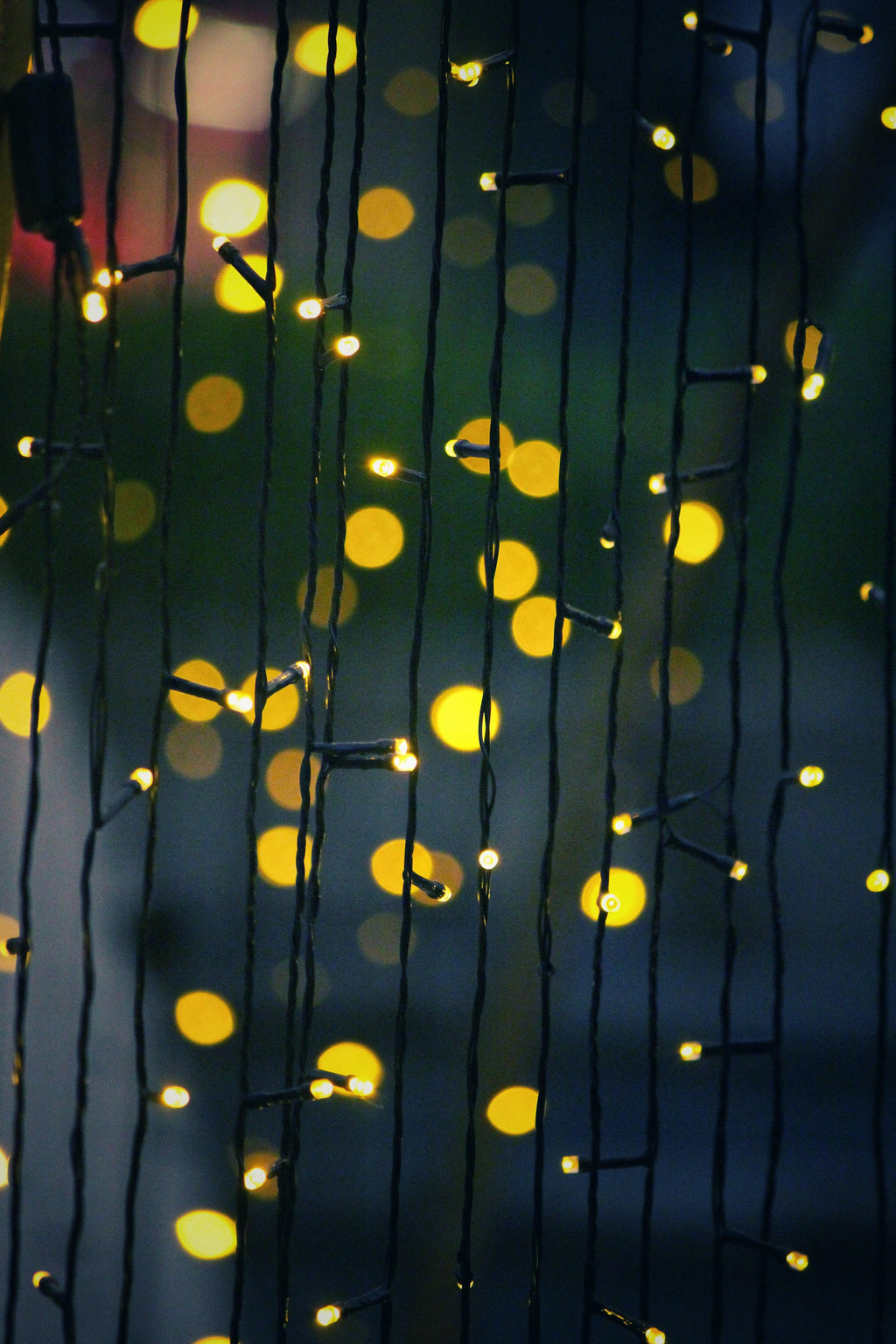Trixie - LED Solar String Lights