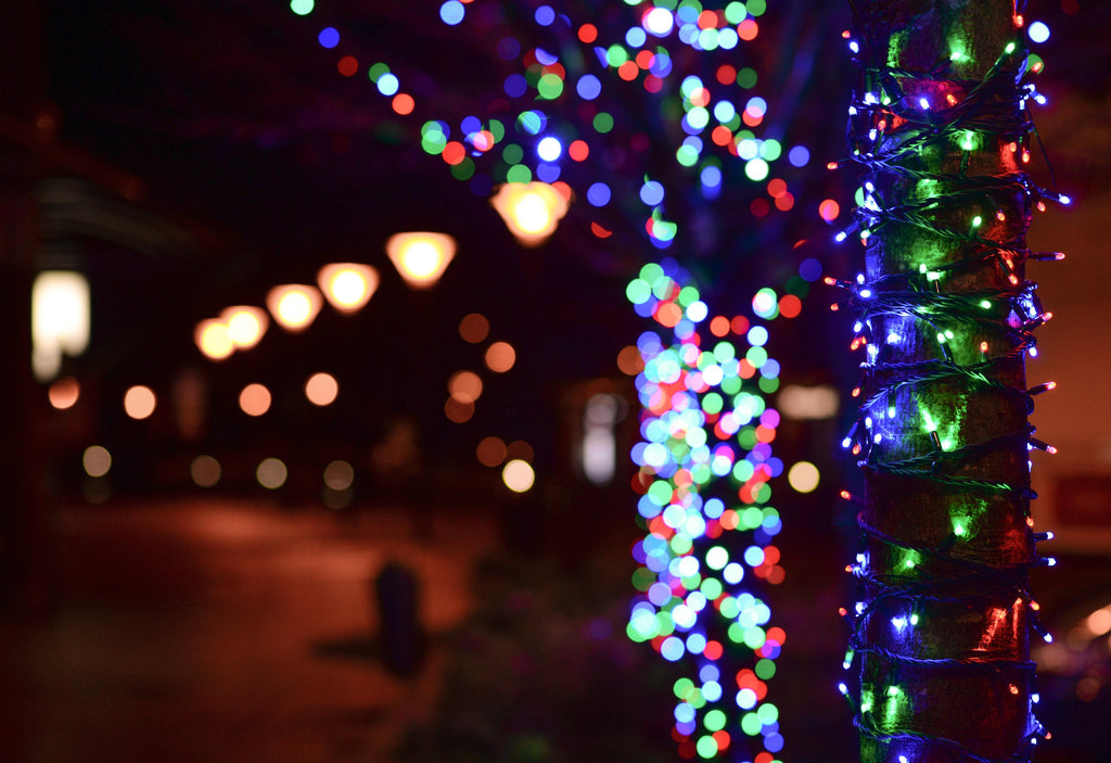 Trixie - LED Solar String Lights