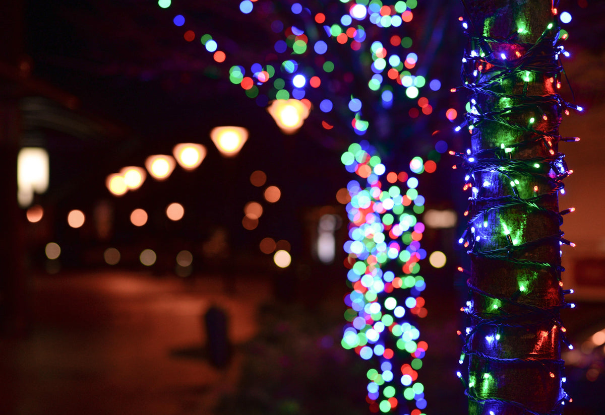 Trixie - LED Solar String Lights