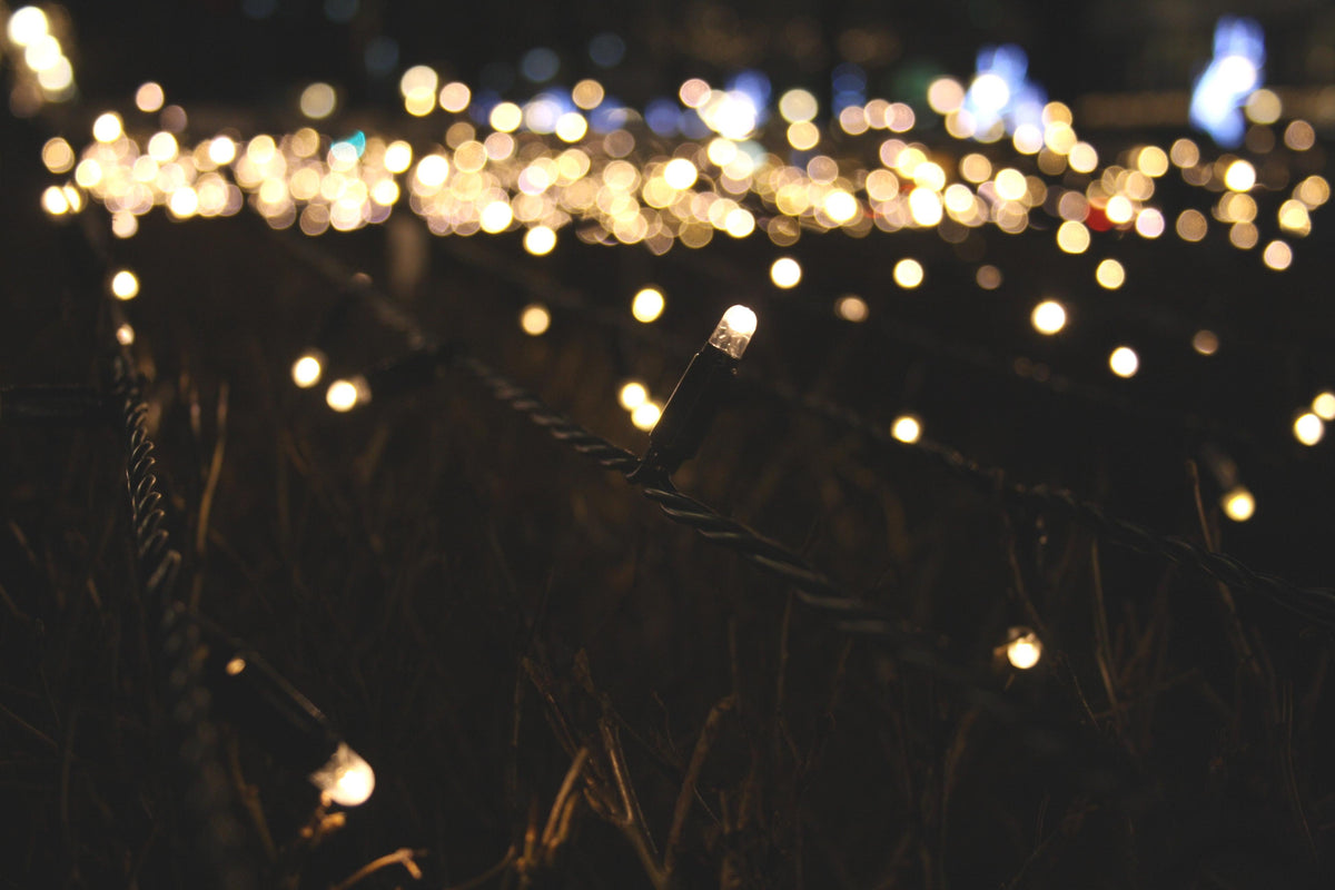 Trixie - LED Solar String Lights