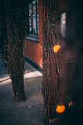 Trixie - LED Solar String Lights