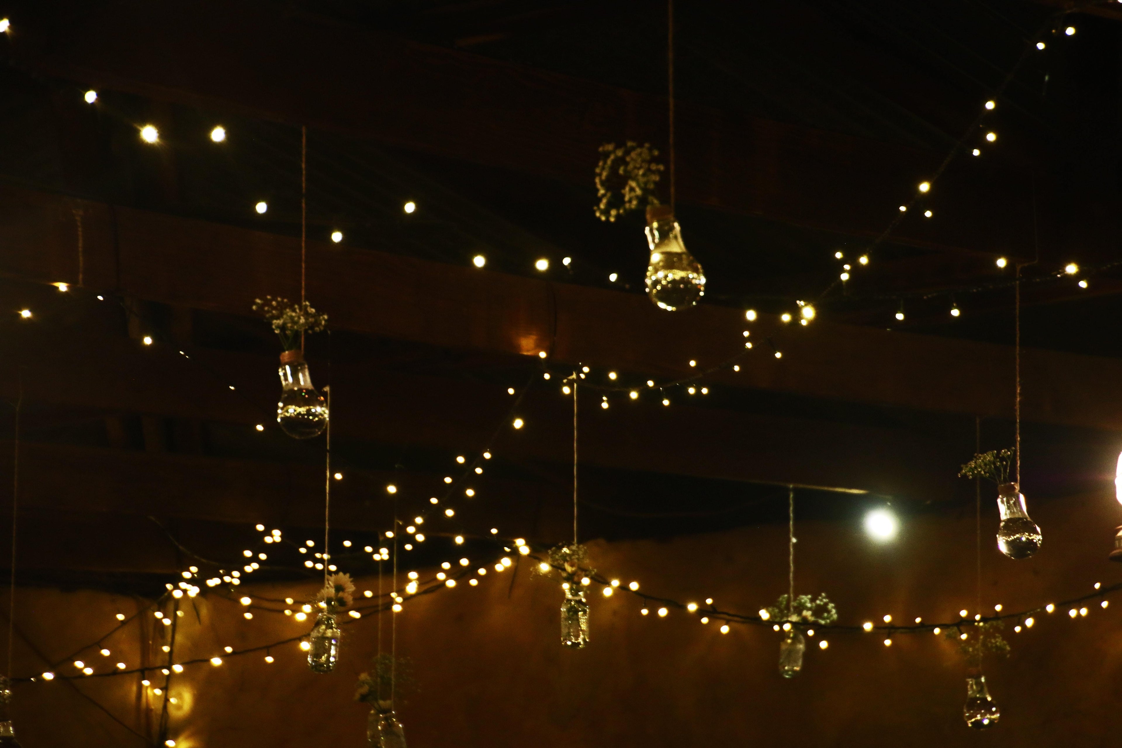 Trixie - LED Solar String Lights