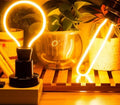 Jax - Classic Vintage LED Bulb