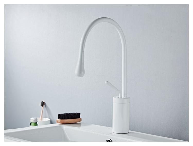 Raffeto - Brass Gooseneck Bathroom Faucet