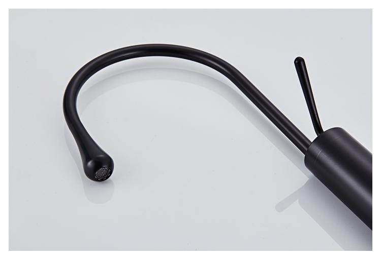 Raffeto - Brass Gooseneck Bathroom Faucet