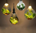 Dax - Garden Ball Pendant Light