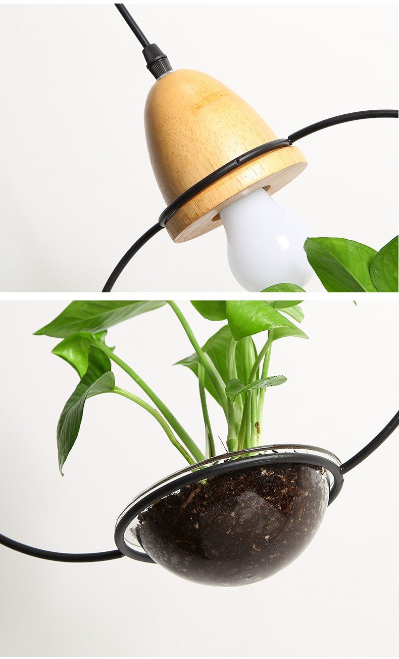 Zox - Modern Nordic Iron Planter Pendant Lamp
