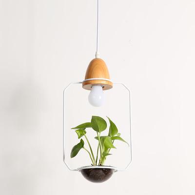 Zox - Modern Nordic Iron Planter Pendant Lamp