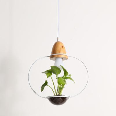 Zox - Modern Nordic Iron Planter Pendant Lamp