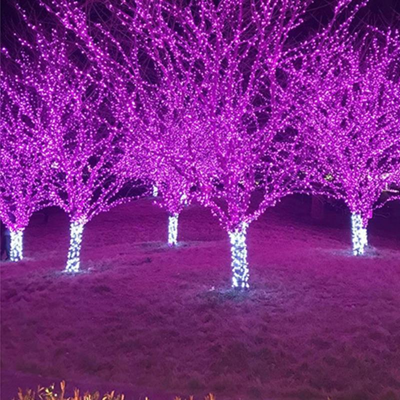 Trixie - LED Solar String Lights